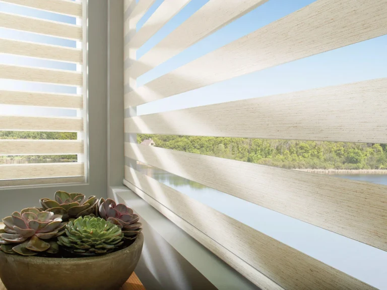 Elegant window shades with scenic view