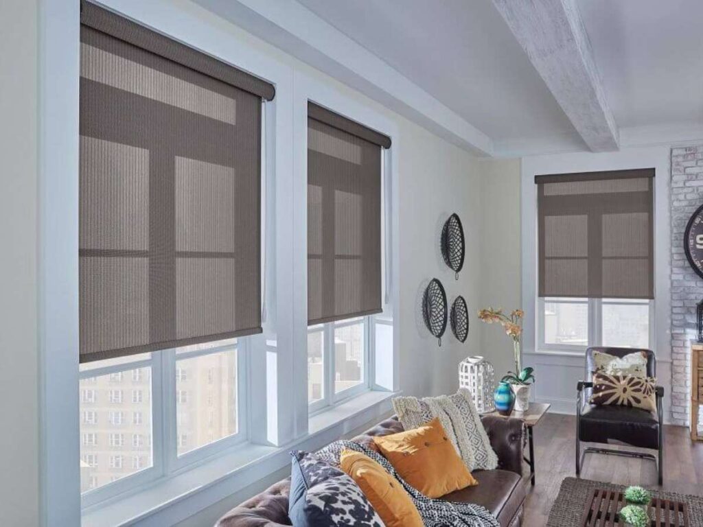 Graber Solar Shades in Living Room