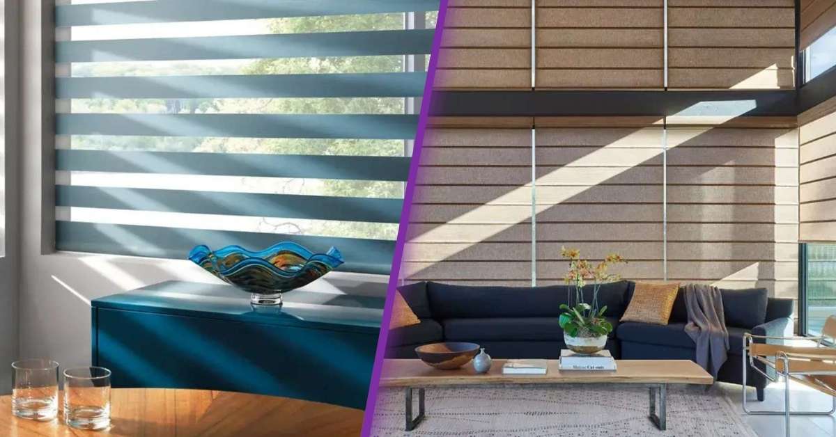 Zebra vs Roller Shades: A side-by-side comparison photo